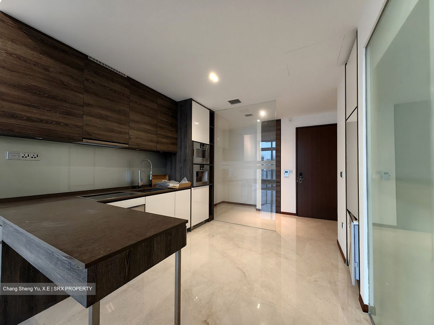 The Scotts Tower (D9), Condominium #408662521
